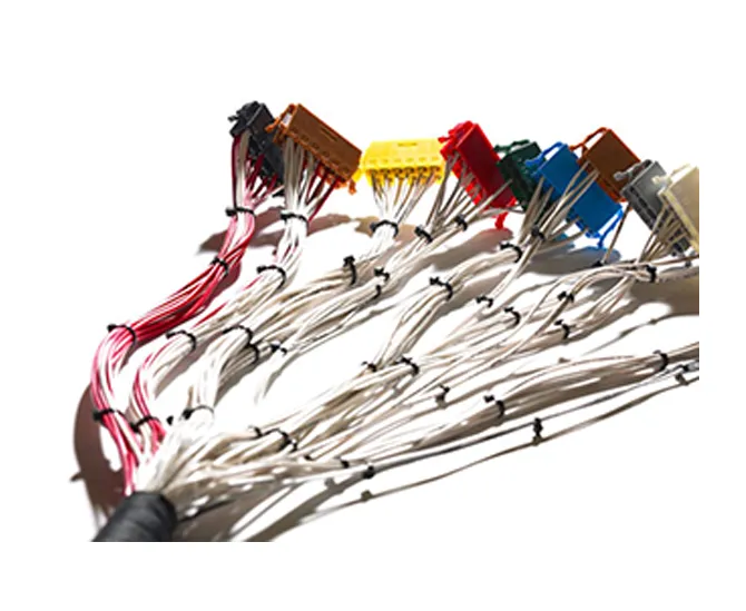 Automotive Wire Harness Assembly